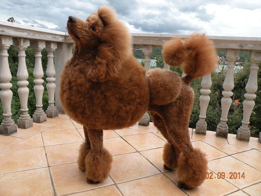 GABANA DOLCE MINARETT
