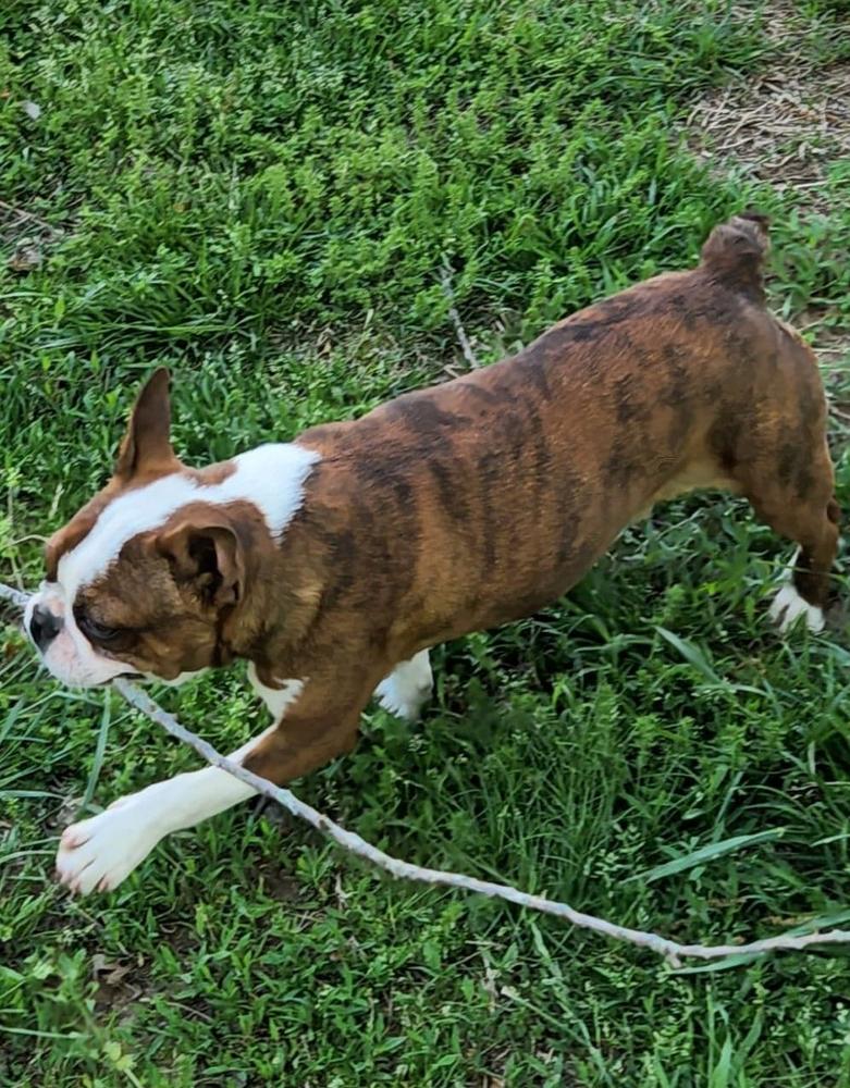 Gus