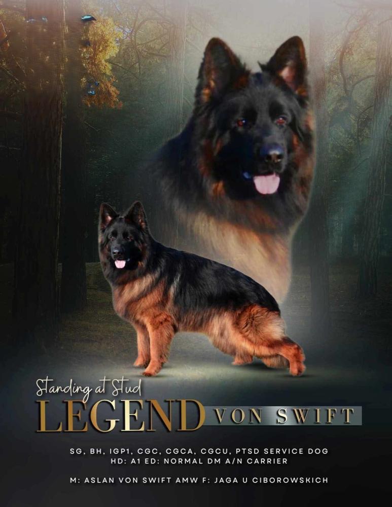 Legend Von Swift