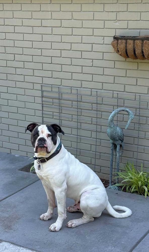 MRT's Rebel Rousier Franklin