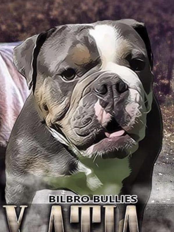 Bilbro Bullies Atia
