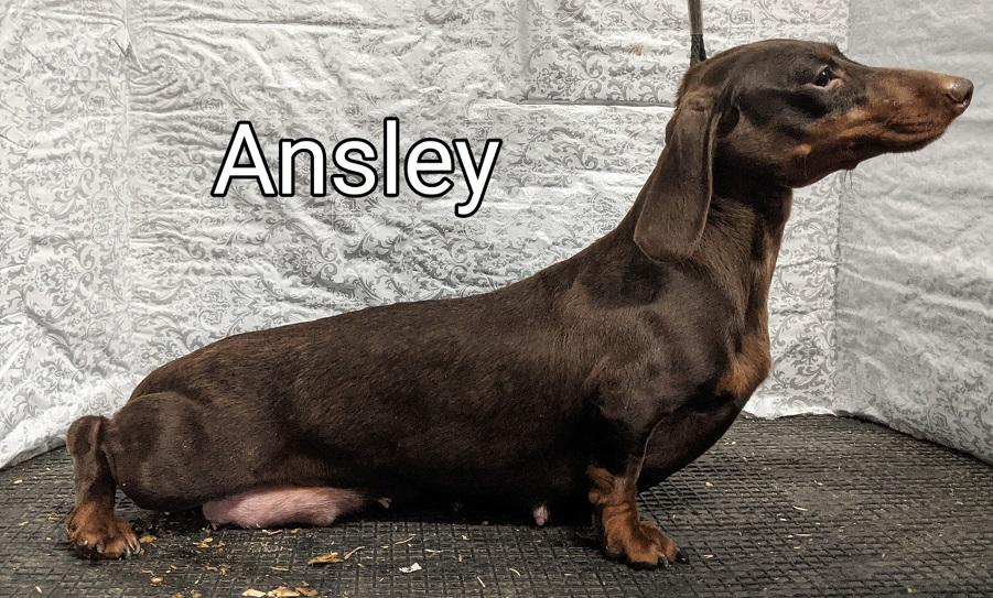 WTL Why Cant U B Blue Over Me MS
