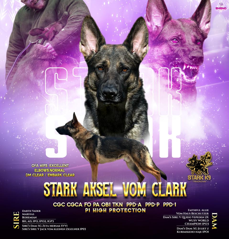 Stark Aksel Vom Clark