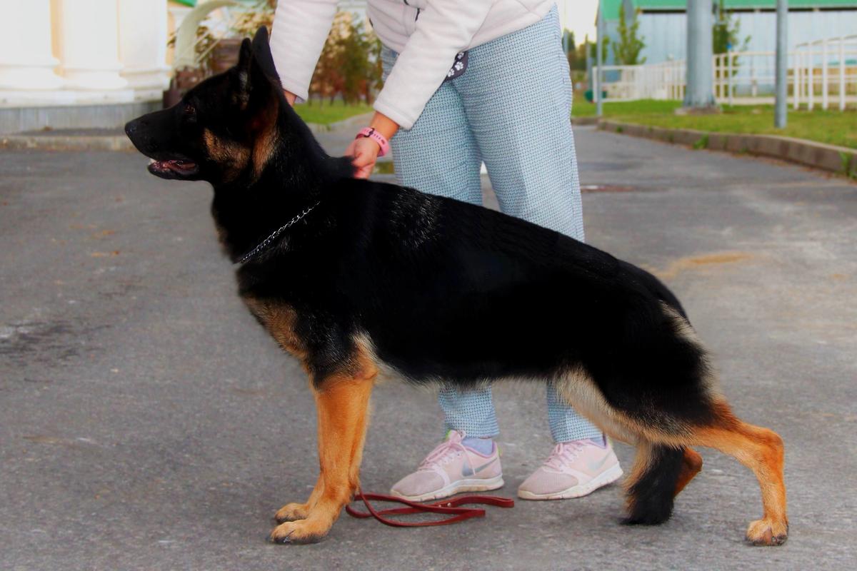 SEREBRYANAYA LUNA ZHANNA 2