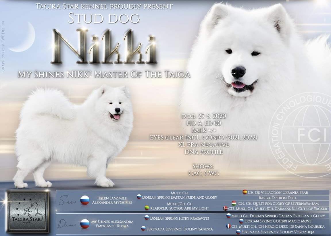 My Shines NIKKI MASTER OF THE TAIGA
