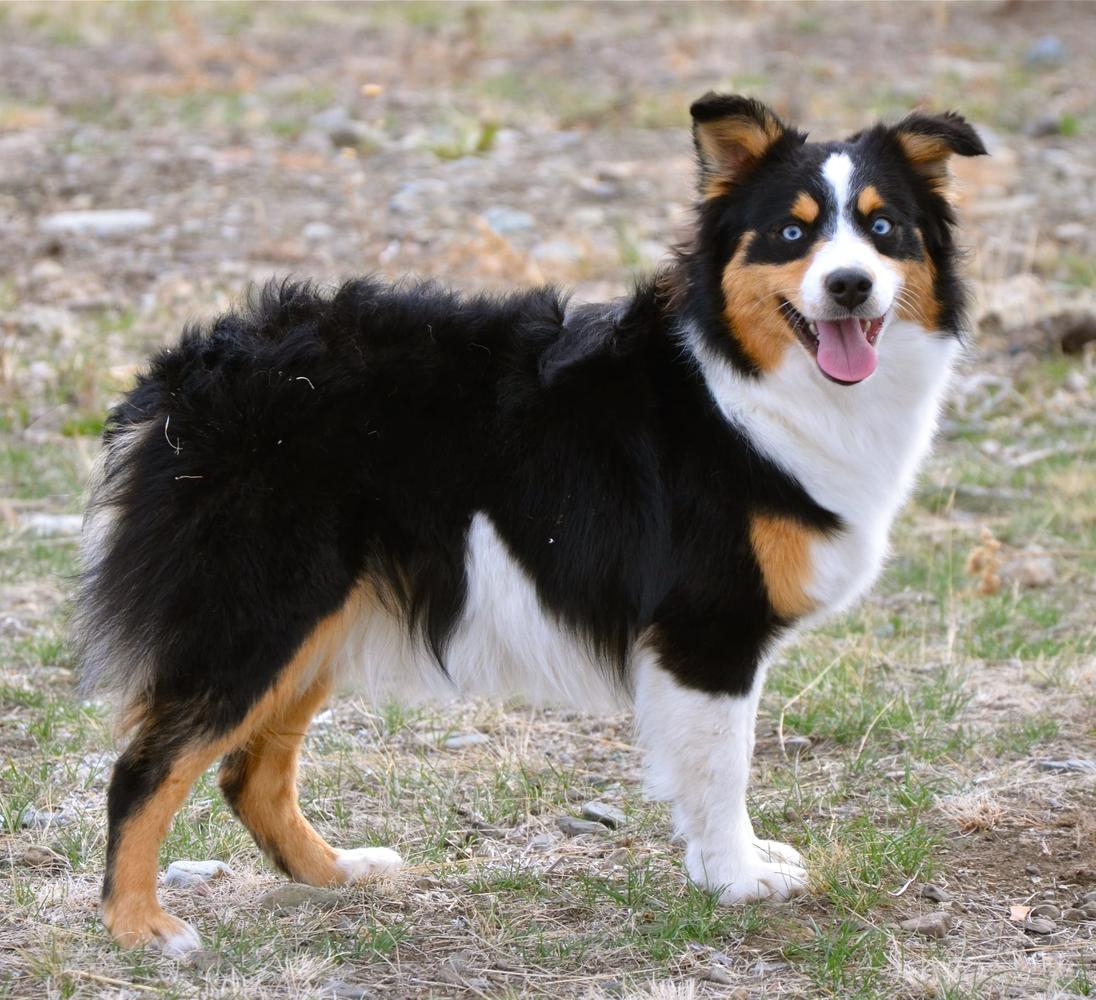 Back Country Lucy