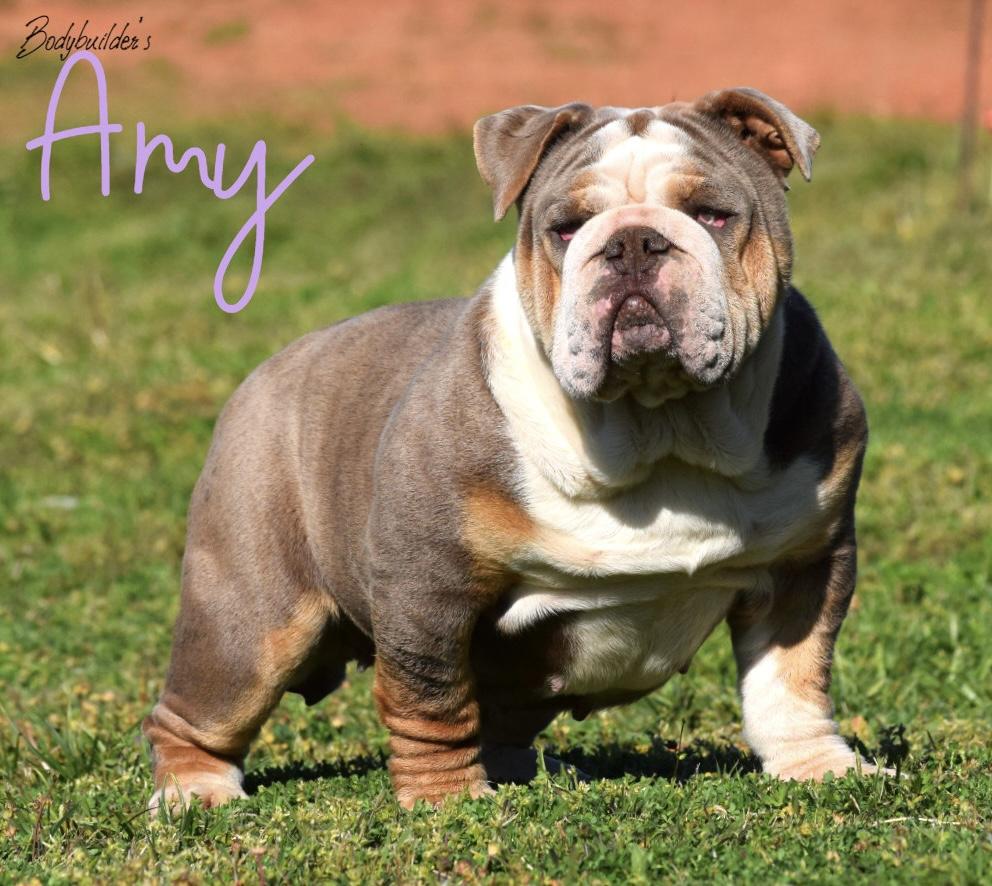 Bodybuilders Amy