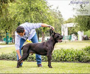 BORIS(ALANIS) MEX.FCI