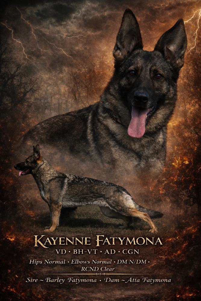 Kayenne Fatymona