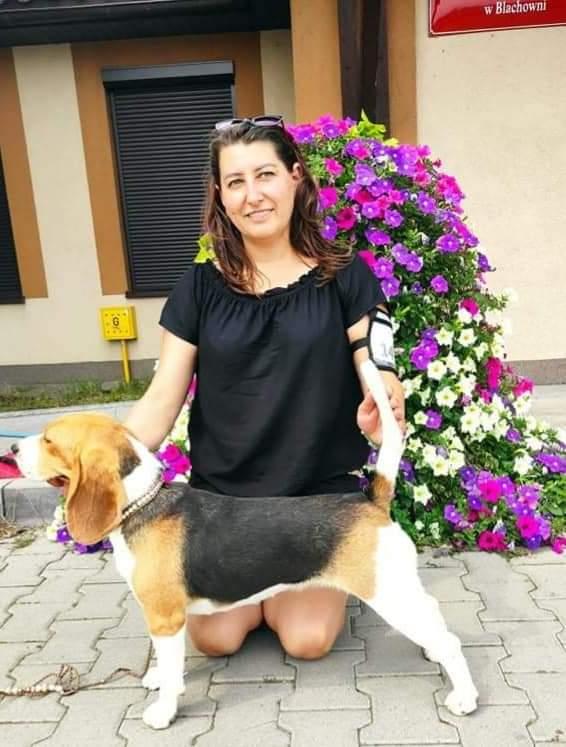 Daisy Dogs From Leki