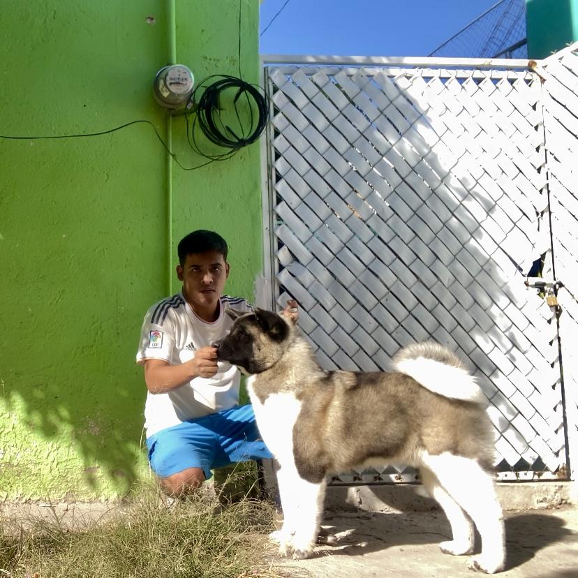 Maximo A Real Hero