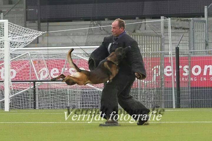 Nico van Middendorp