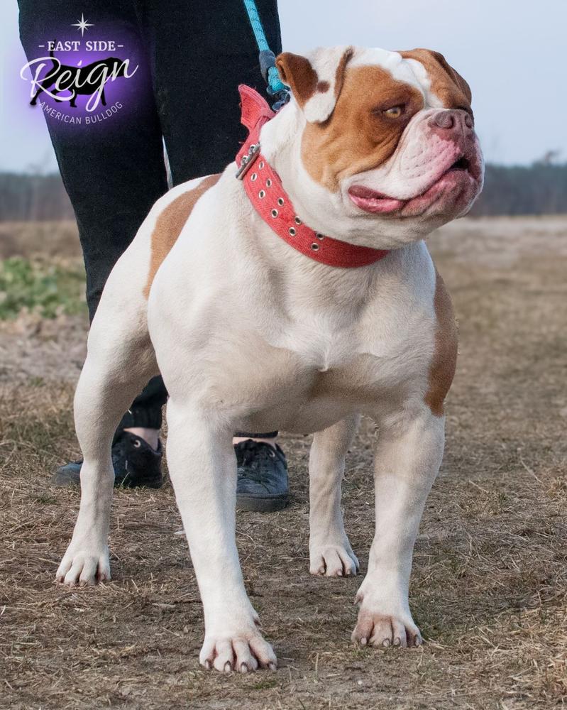 EAST SIDE REIGN DAKOTA