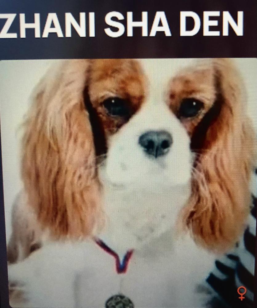ZHANI SHA DEN