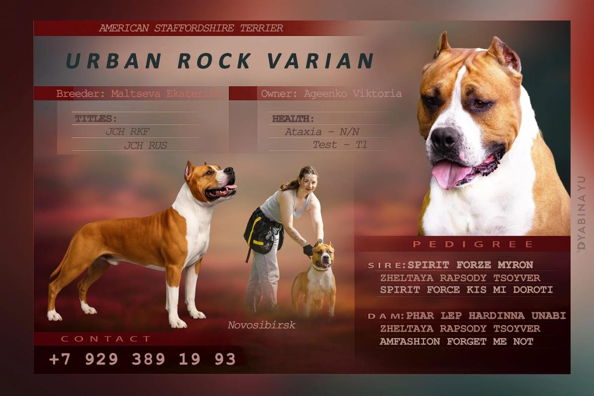 URBAN ROCK VARIAN
