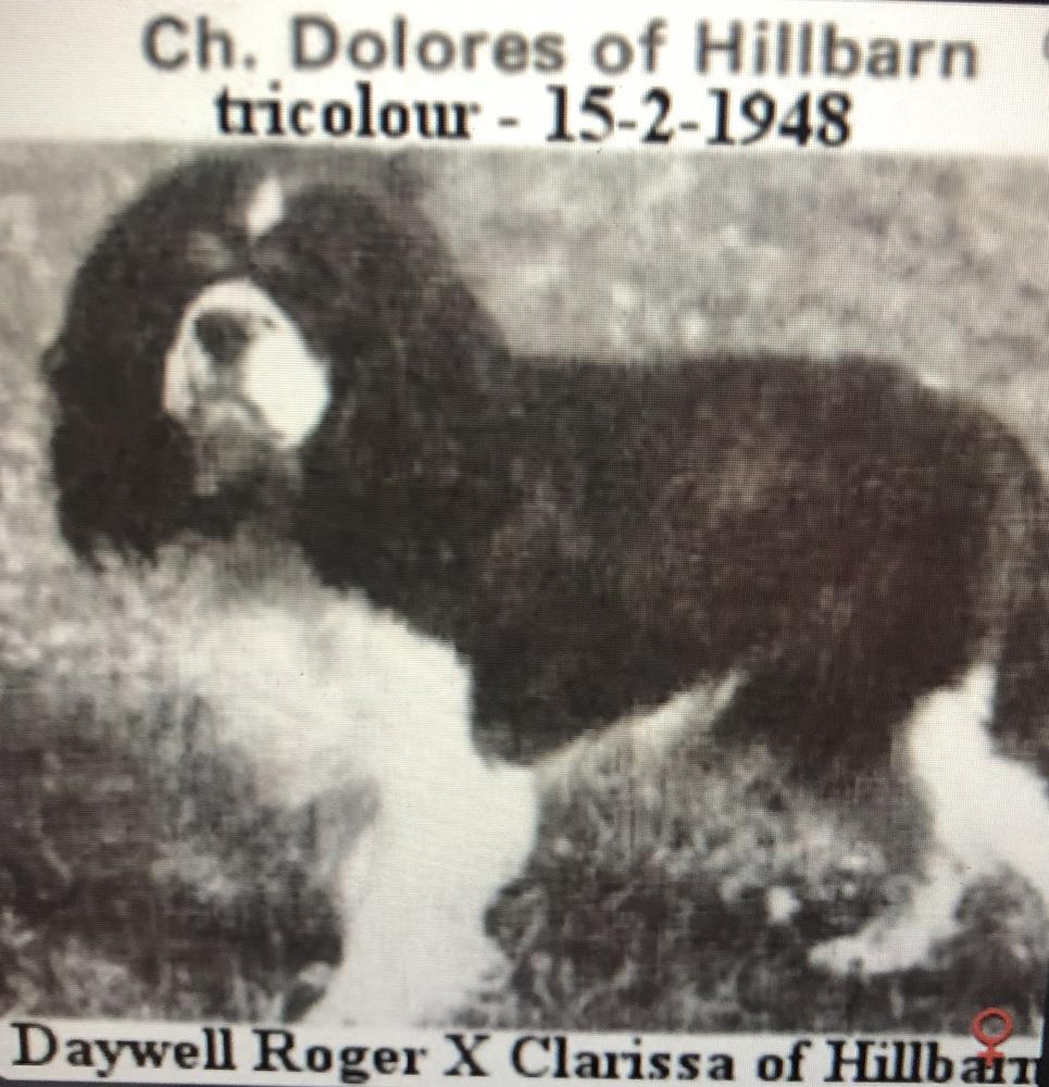 DOLORES OF HILLBARN