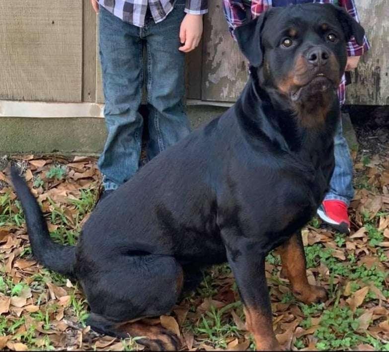 Kaiser X