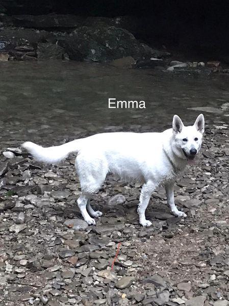 Royal Joy N Emma Jean