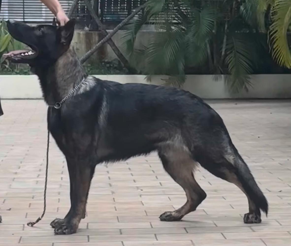 AQUILES NACIONGS