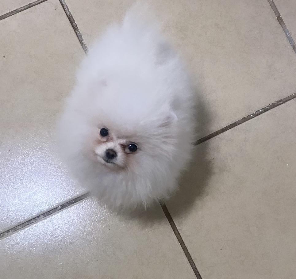 Moonstar’s My Sweet Miracle