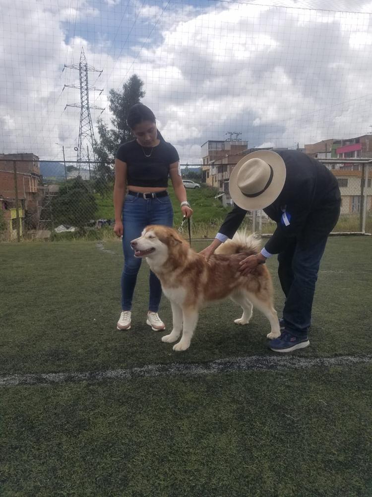 RUBI OLIMPOLIONS