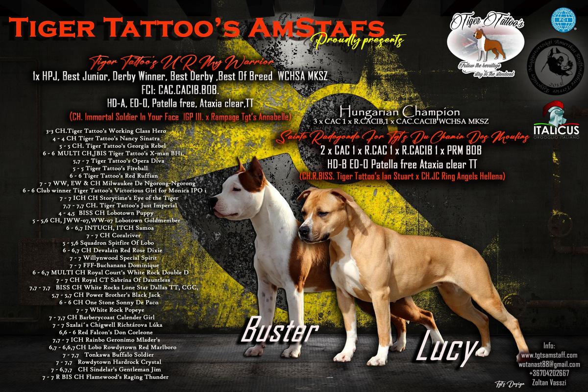 Tiger Tattoo's Wotan