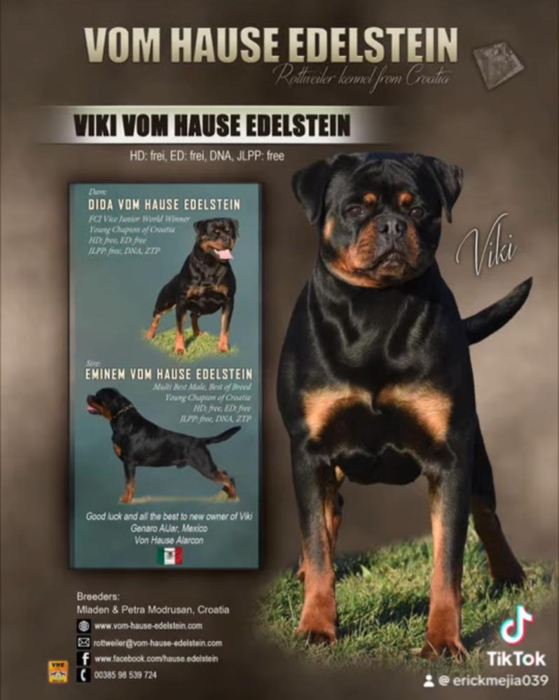 Viki Vom Hause Edelstein