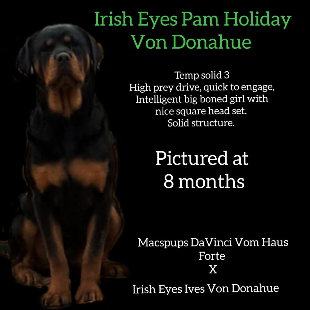 Irish Eyes Pam Holiday Von Donahue