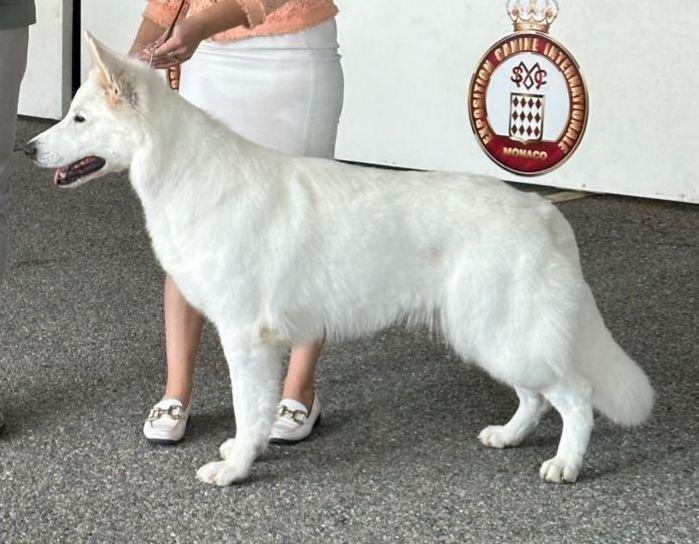 Royals Of White Mountain Daenerys