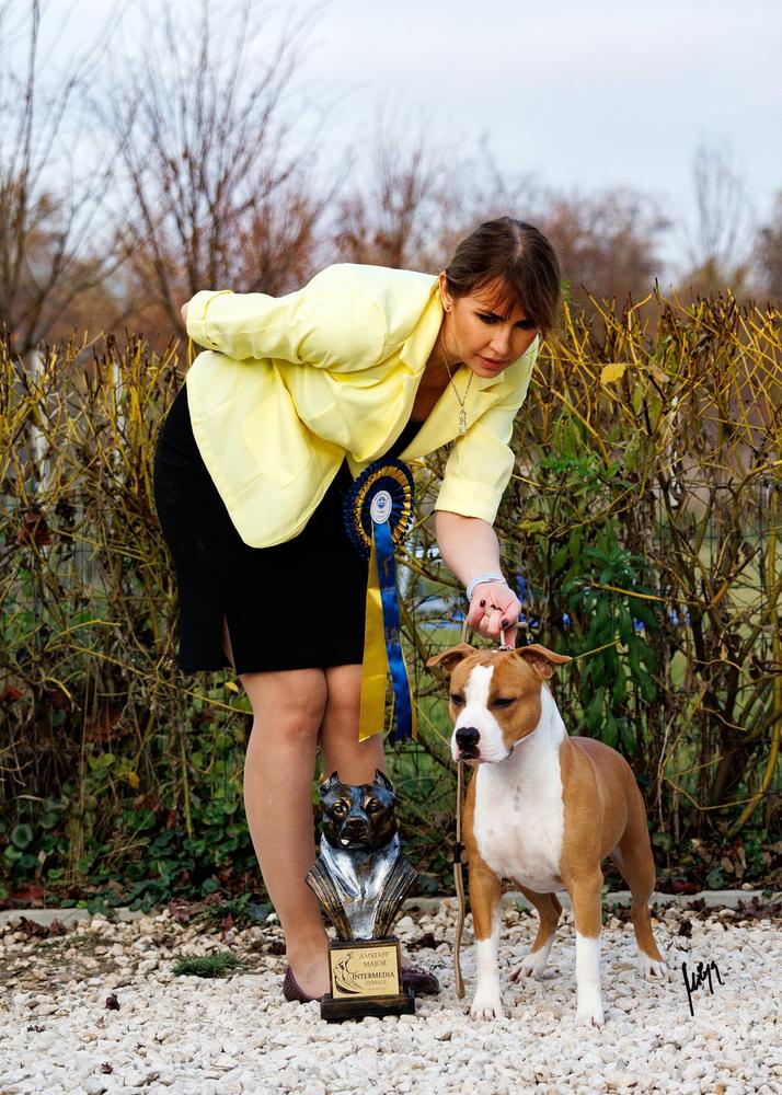 Flagrate Vivir Perros