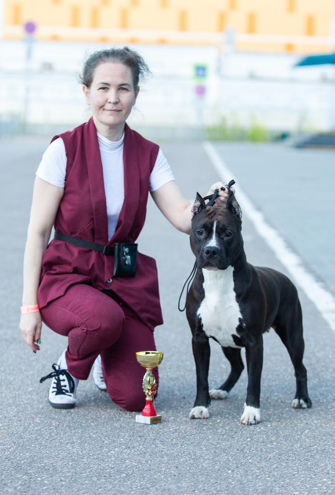 CANIS WOLF OBERT LI KEY