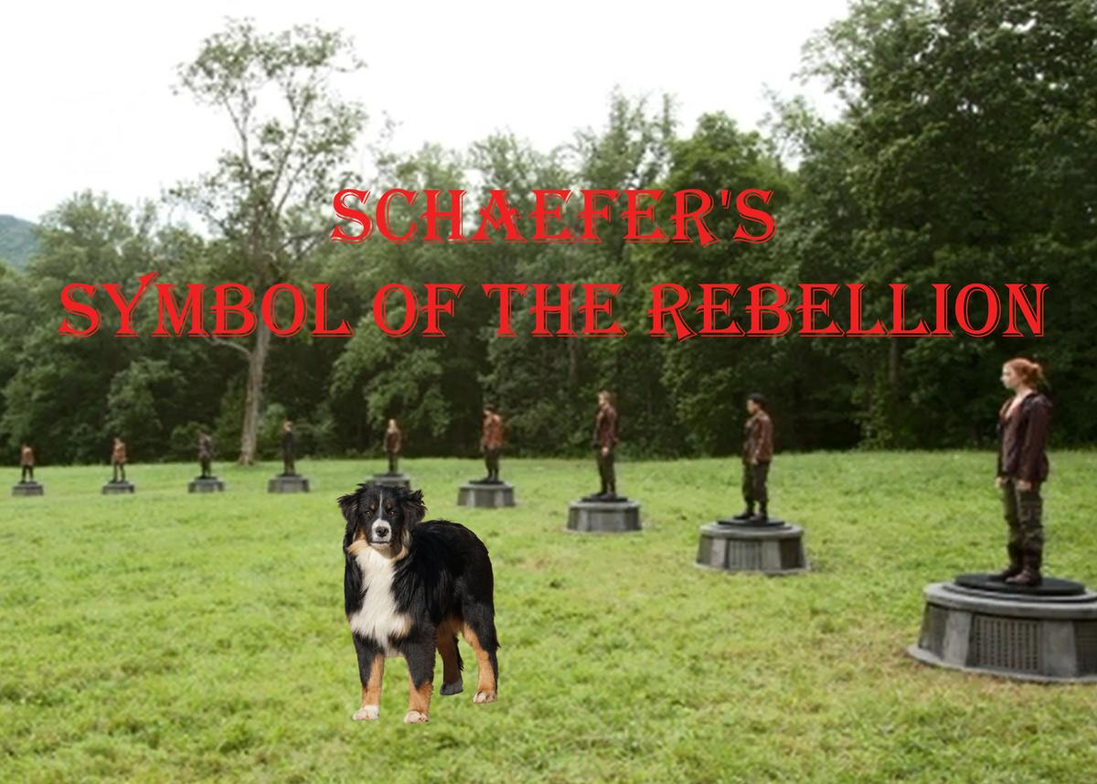 Schaefer's Symbol Of The Rebellion