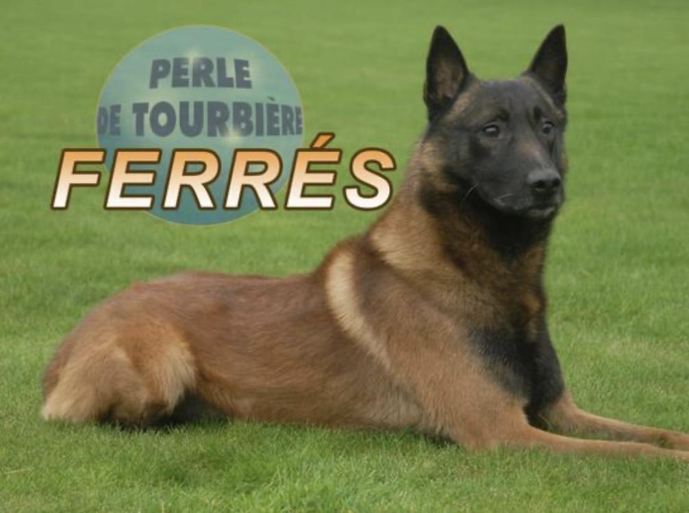 Ferrés Perle de Tourbière