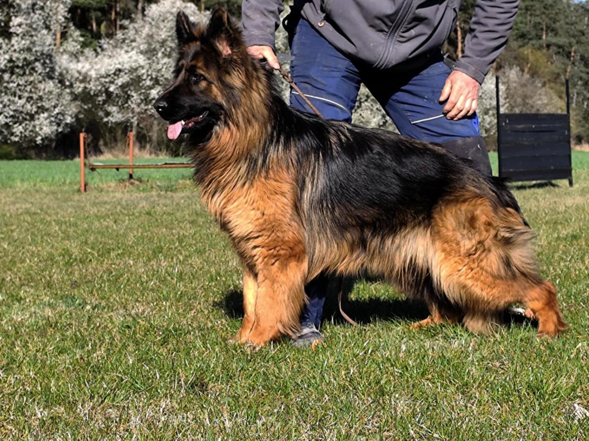 NANNI Luc Oschi Mon