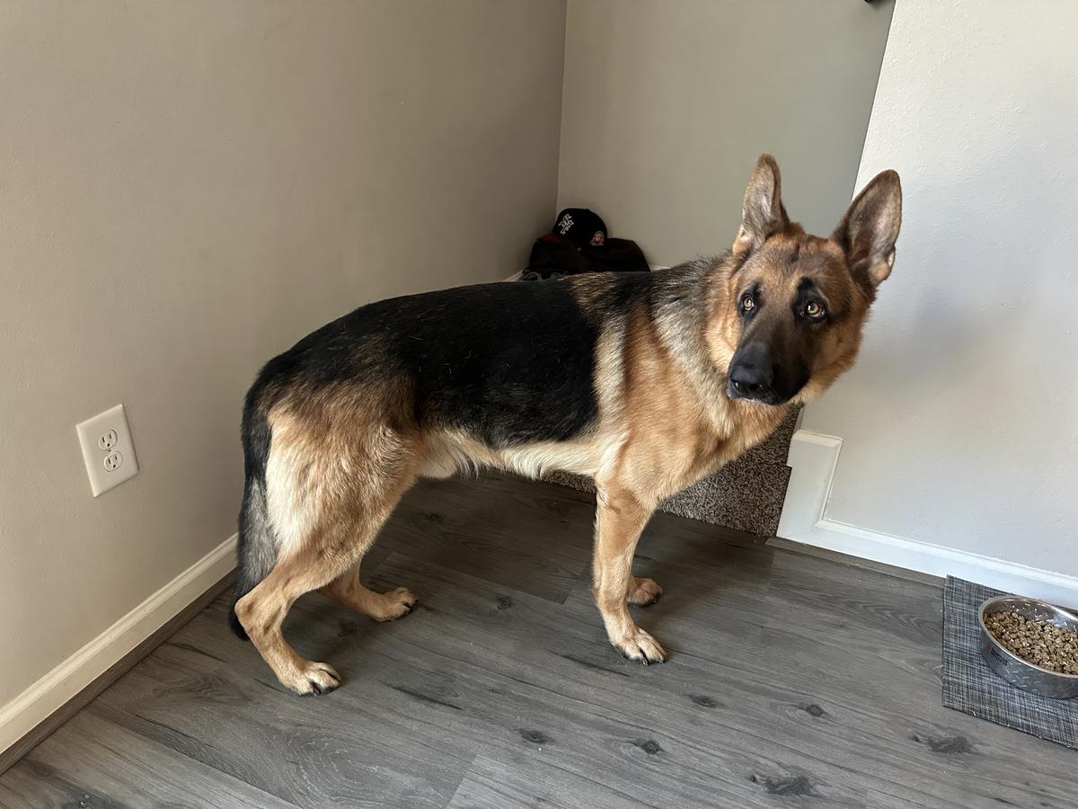 Kaiser Von Poor Farm