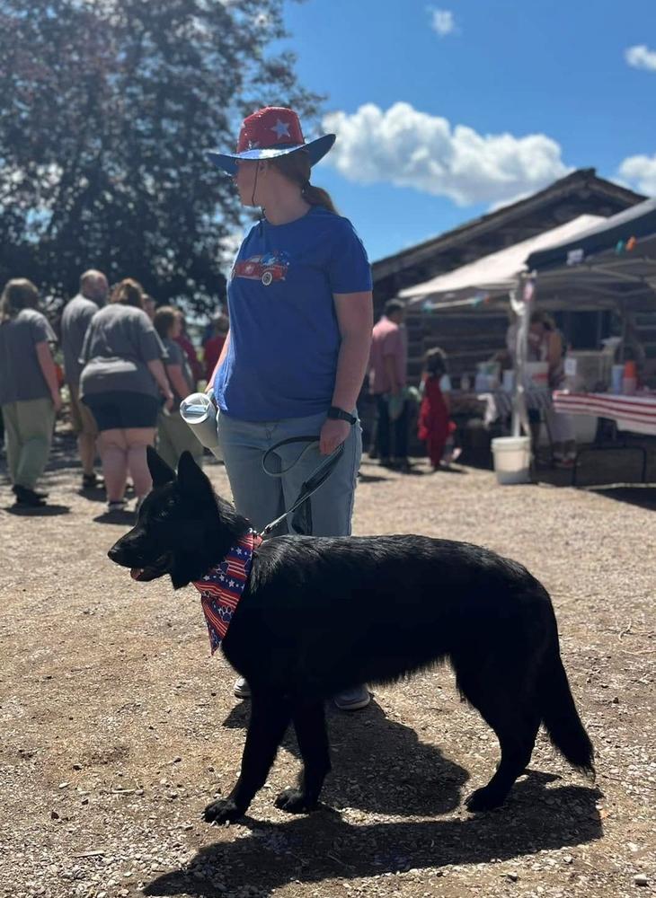 Zova Bear vom Semper Fi K9