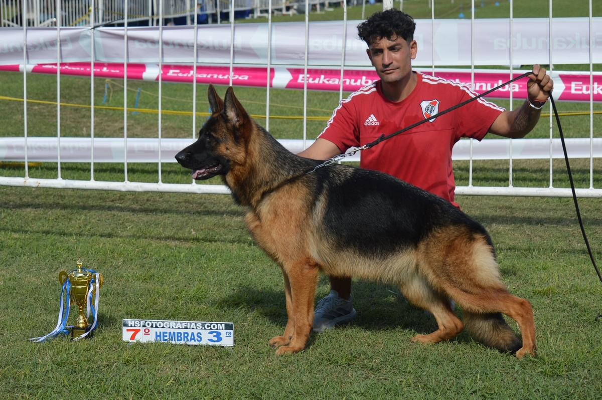 Nayla team verbünden