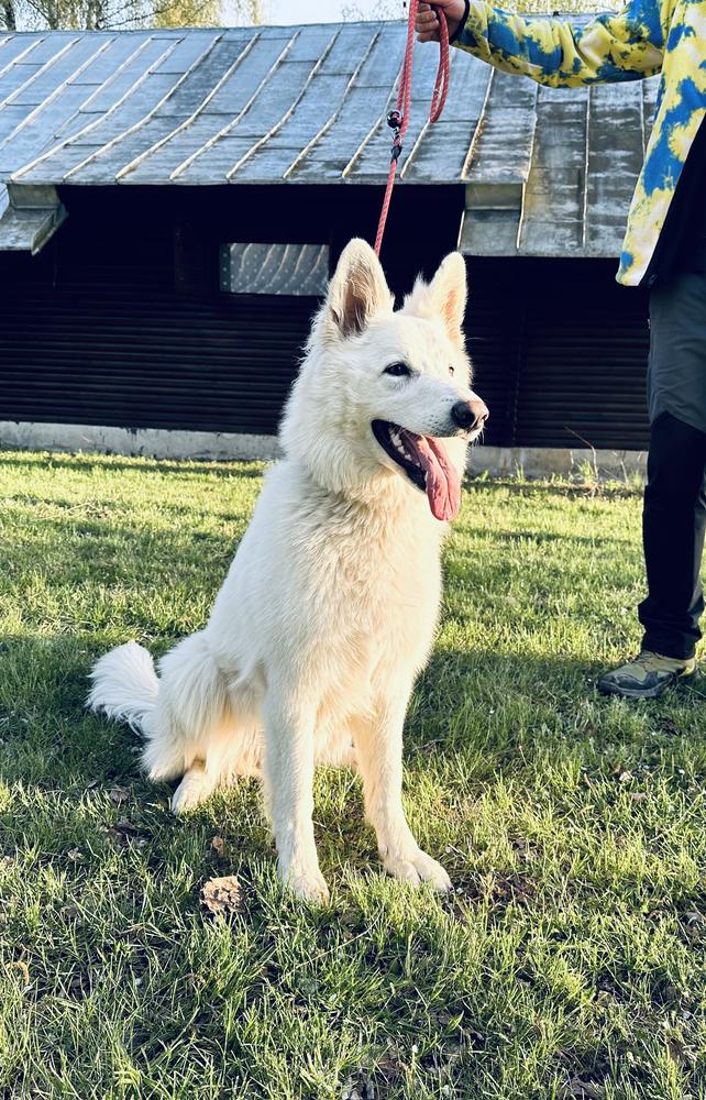 Alma Luna Abbami