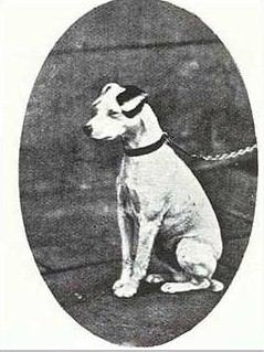 Jock (Old Jock) 'Murchison/Wootton/Kindersley/Fitzwilliam/C'