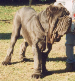 Lothar