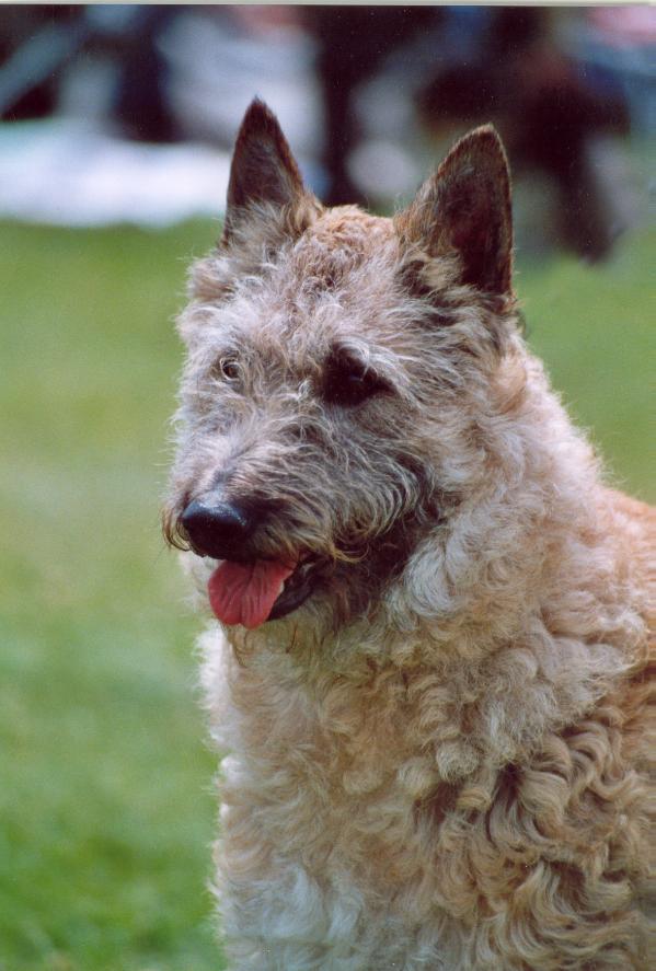 Yentl van de Schranshoeve