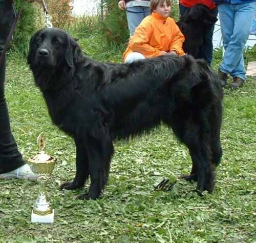 Adaly Biely Démon