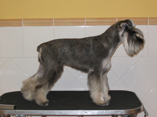 Truska de Peñafiel