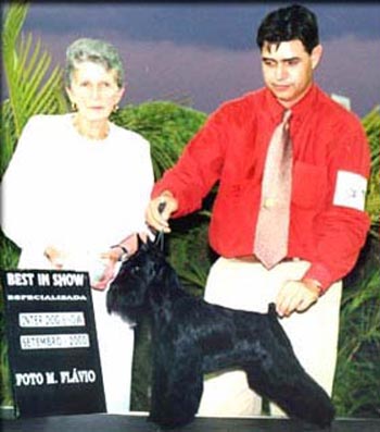 Sailer's KI Kali