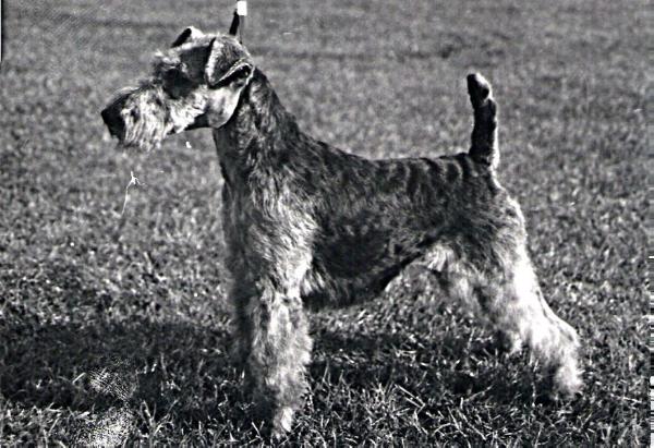 Tenne v.d Bismarckquelle