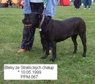 Bleki Ze Strasickych Chalup