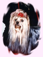 Jessica Fletcher delle Antiche Mura