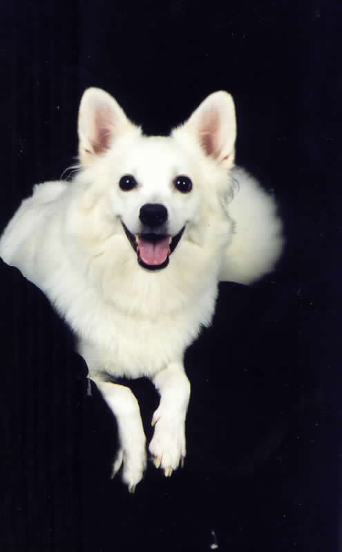 Juneau's Artic Snowmaiden