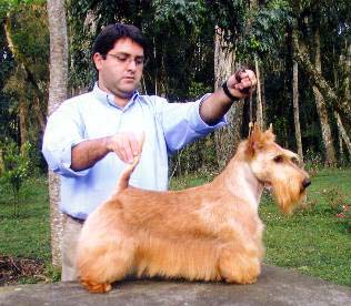 Ichabod-Wee-Whiskey de Dona Ramona