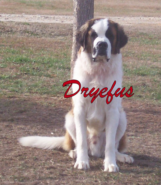 Lightning Mountain's Dryefus